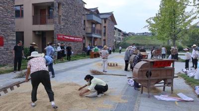 【爱惜粮食 反对浪费】鸣凤镇开展“共娱秋事 丰收喜事”农民丰收节趣味活动