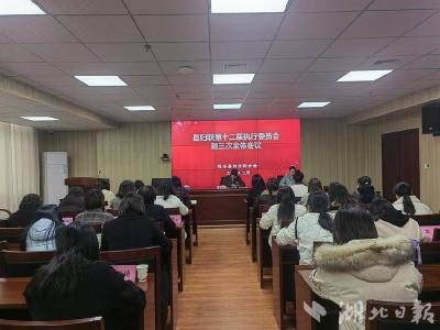 远安县妇联第十二届执行委员会第三次会议圆满召开