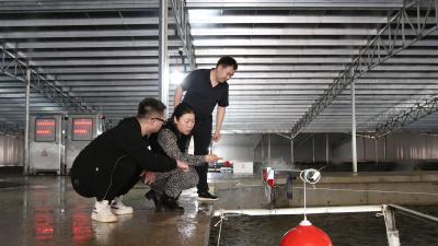 【优化营商环境】远安：好生态留“客” 500万尾鳗鱼首养成功