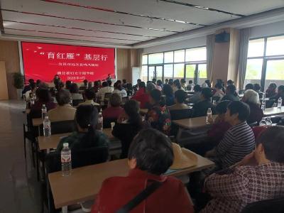 湖北省妇联“育红雁”基层行走进远安县