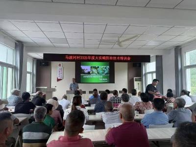 洋坪镇：农技专家送技下乡 筑牢柑橘产业“防虫网”