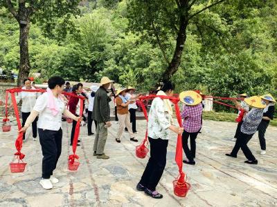 花林寺镇：文化赋能基层治理 舞出和美乡村新画卷