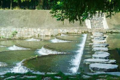花林寺镇：河岸夏景美如画