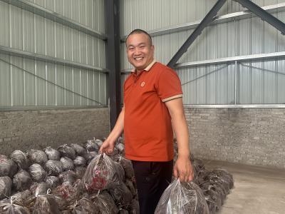 【诚信文化建设】无畏荆棘勇创业 诚信经营破困境 ——记洋坪镇种得好专业合作社负责人李德乾