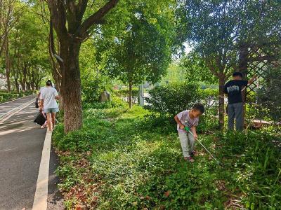 【聚焦乡村振兴】花林寺镇：环境大扫除 家园换新颜