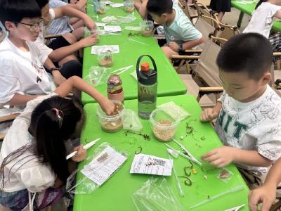 湖北远安沮河国家湿地公园、远安县林业局开展2025年全国生态日科普宣教活动  