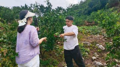 洋坪镇：用电商 “赋能”，让深山好物打开 “新销路”