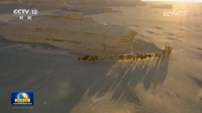 【宣传阐释习近平新时代中国特色社会主义思想】推动文明交流互鉴 构建人类命运共同体