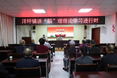 【弘扬三大精神 奋力建成支点】洋坪镇：“讲‘稻’理”宣讲接地气 “三大精神”润人心