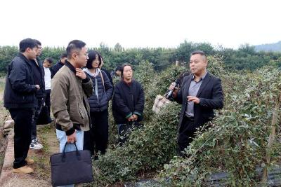 【干部素质提升年】河口乡组织干部考察产业发展“门道”