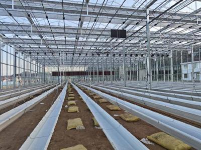 【和美远安】花林寺镇：智慧农业项目即将投产 “空中草莓”或元月迎首茬收获