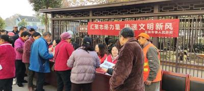 【文明远安】花林寺镇开展综合性志愿服务活动