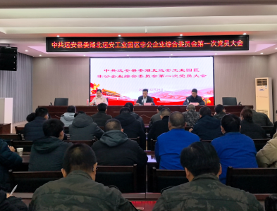 远安工业园区非公企业综合党委正式成立