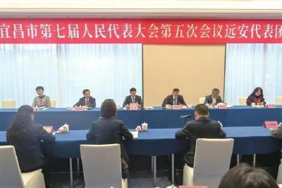 远安代表团举行“开放日”活动，以城乡融合发展引领乡村全面振兴