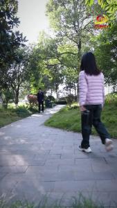 《小远说税》“税”来告诉你：请注意，新能源车免税政策有这些变化!