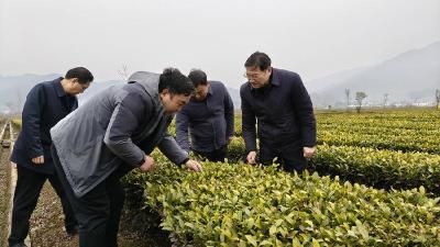 情系石桥送温暖 调研帮扶促振兴——省交易（采购）中心主任胡俊明赴石桥坪村调研慰问