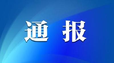 中央纪委国家监委公开通报六起形式主义、官僚主义典型问题