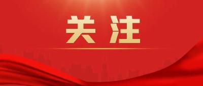 逐章逐条学条例丨学习《中国共产党纪律处分条例》（七）