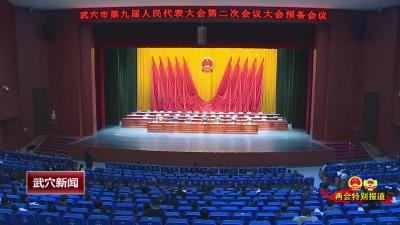 武穴市第九届人民代表大会第二次会议举行预备会议