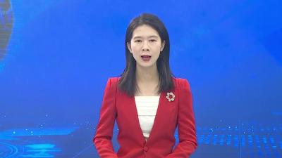 武穴市第九届人民代表大会第二次会议举行各代表团召集人会议