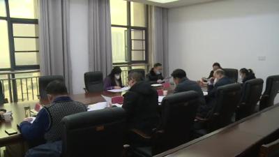 董晓燕督办政协九届一次会议重点提案