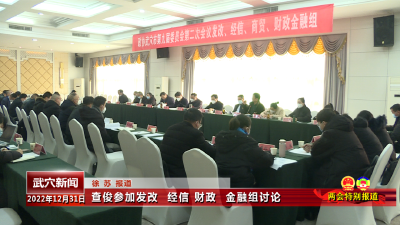 查俊参加人大代表、政协委员分组讨论