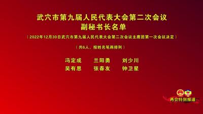 武穴市第九届人民代表大会第二次会议
副秘书长名单