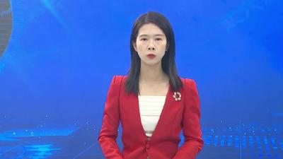 武穴市第九届人民代表大会第二次会议举行党员代表大会