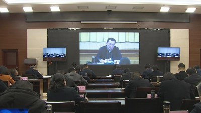 我市组织收看黄冈市省两会、春节期间平安稳定和安全生产视频会
