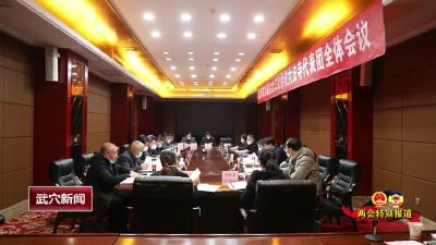 各代表团分团审议 为奋力谱写中国式现代化建设武穴新篇章建言献策