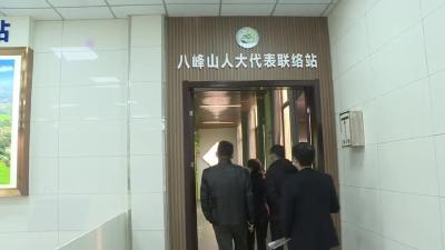 蔡军调研大法寺镇人大代表联络站建设情况