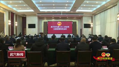 市九届人大二次会议召开主席团第四次会议