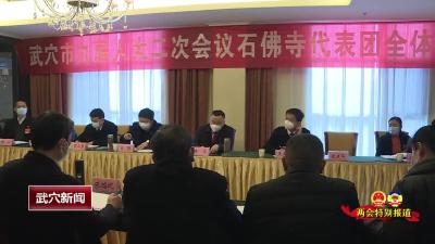 查俊参加石佛寺、万丈湖、刊江代表团分团审议