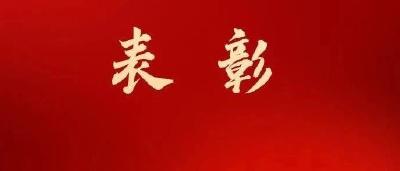 省级表彰！我市这家企业上榜，黄冈实现集体奖“零”的突破！