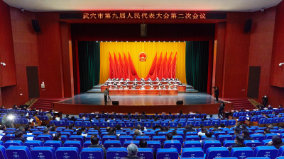 武穴市第九届人民代表大会第二次会议胜利闭幕（附本台评论）