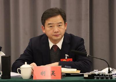 黄冈两会丨武穴市委书记胡昊：实现铁水“硬联通”，建设水运交通枢纽