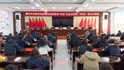 黄冈市委第四巡察组巡察武穴市田家镇“两型”社会建设循环经济试验区（田镇街道）情况反馈会议召开