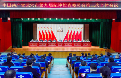 武穴市纪委九届三次全会召开！胡昊强调……