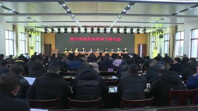 市农业农村局：以“四大抓手”实现农业增产  农民增收