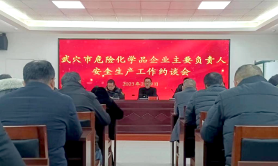 武穴市应急管理局召开全市危化品企业主要负责人安全生产工作约谈会