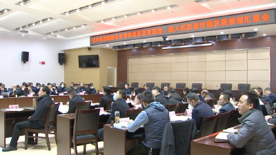 全市流域综合治理和统筹发展规划、融入武汉都市圈发展规划汇报会召开