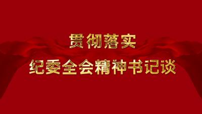 贯彻落实纪委全会精神书记谈 | 梅川镇：营造风清气正政治生态 为实现“四镇四区”目标提供坚强保障