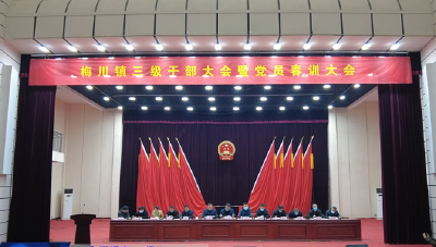 各地贯彻落实全市三级干部大会精神  踔厉奋发续精彩