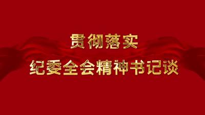 贯彻落实纪委全会精神书记谈 | 大法寺镇：以严的纪律 铁的作风推动各项工作落地见效