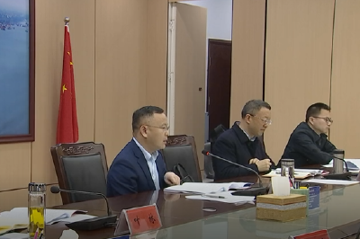查俊主持召开一季度主要经济指标协调推进会