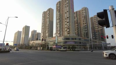文明出行 志愿有我