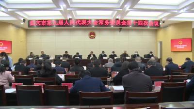 市九届人大常委会第十四次会议召开