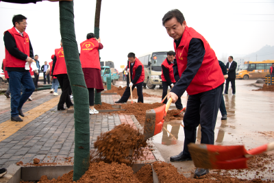 不负好春光，书记市长植树忙