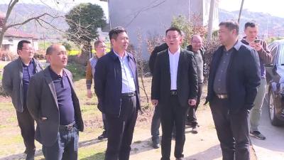 黄冈市水利和湖泊局检查组来我市开展汛前检查等工作