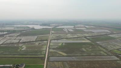 武穴龙坪镇牛车村：春暖放虾苗 生态种养忙